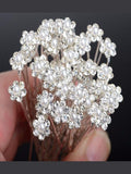 20-Piece Bridal Pearl Hair Pins Set - Courbe et Compagnie