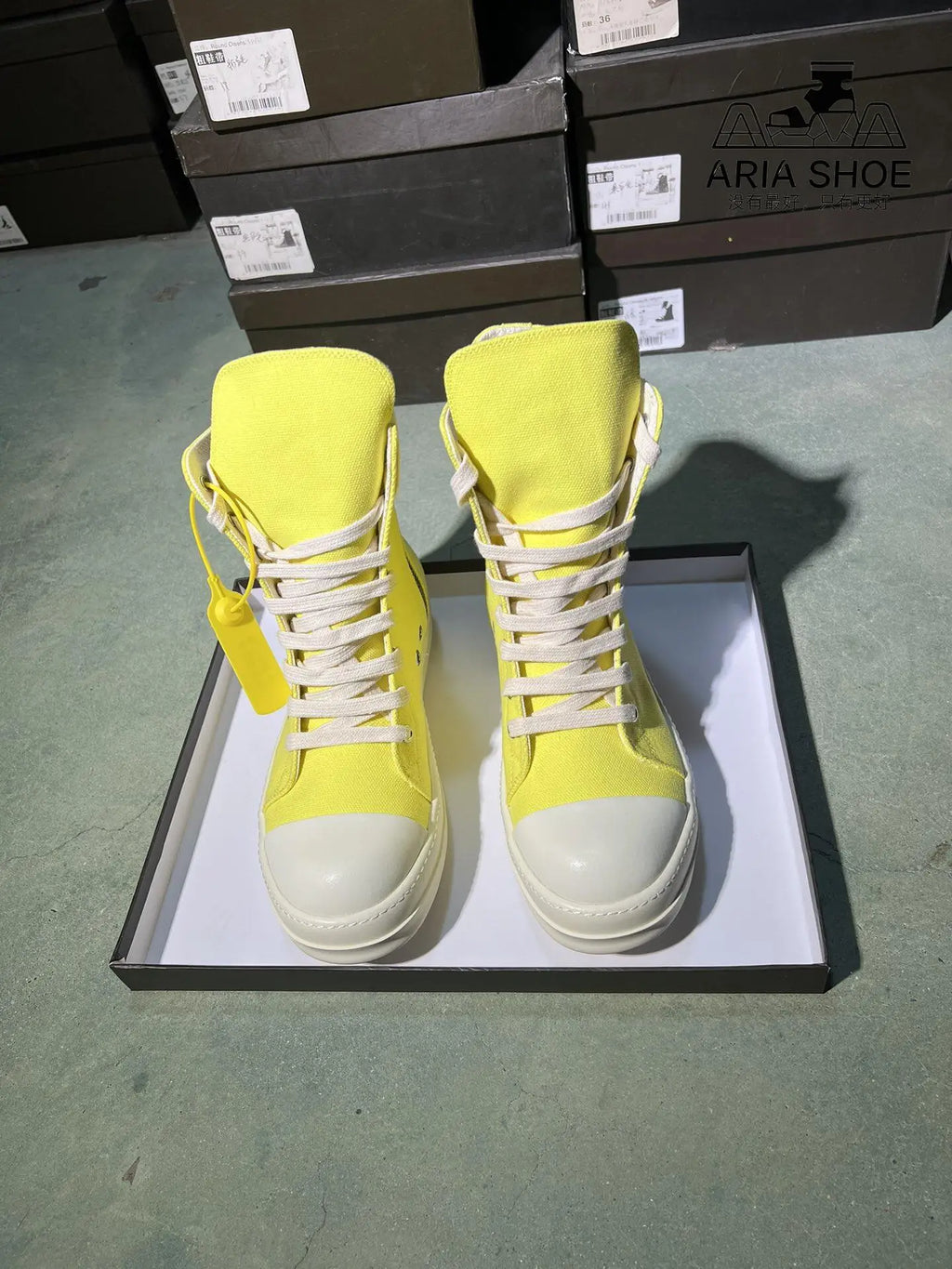 Yachty Lace-Up Flat Canvas Sneakers