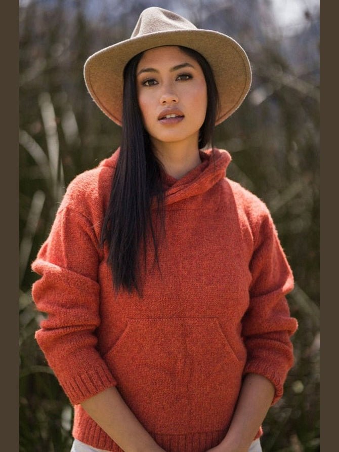Briana Alpaca Hoodie Pullover - Courbe et Compagnie