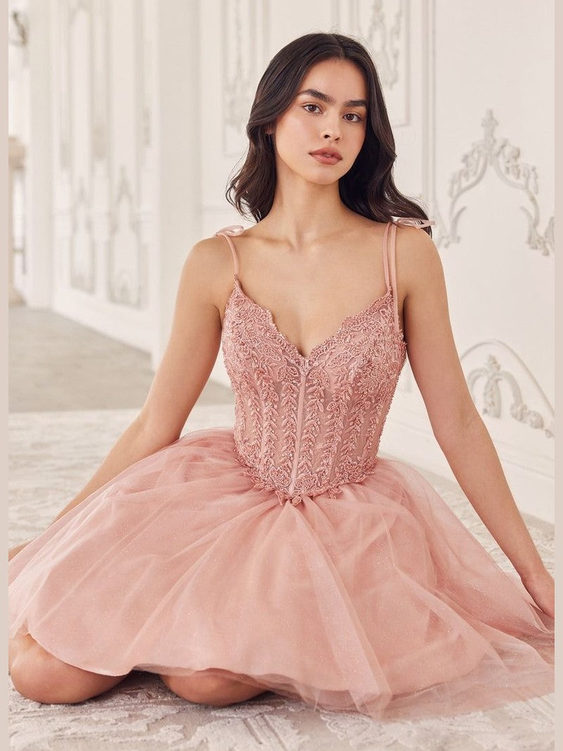 Short A-Line Tulle Dress