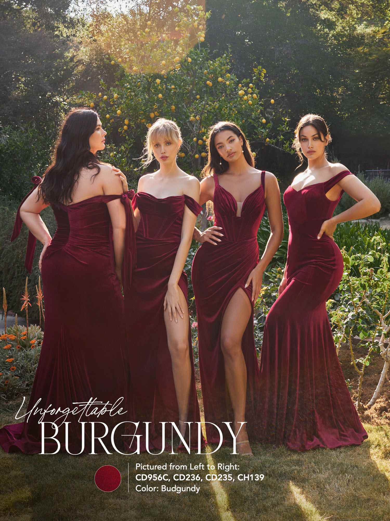 Cinderella Divine CH139 Long Off the Shoulder Fitted Velvet Gown - Courbe et Compagnie