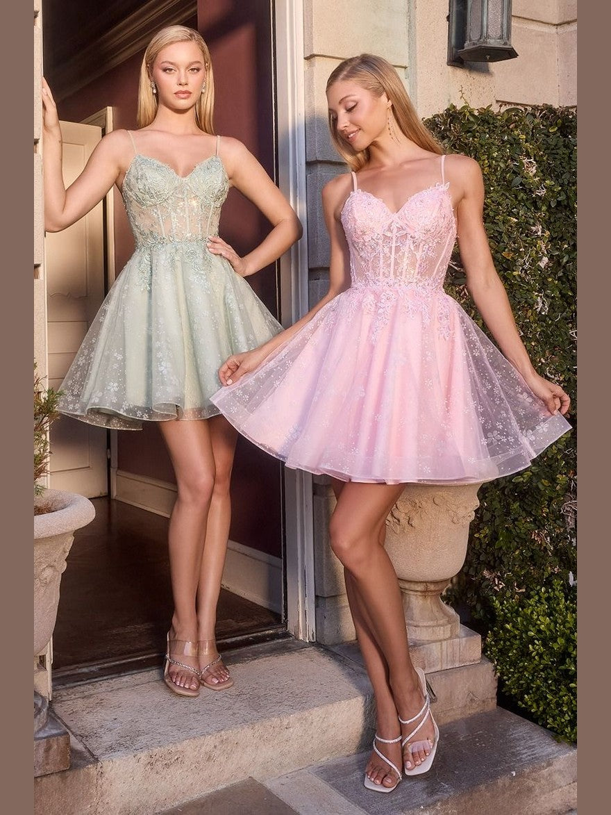 Floral Embroidered Tulle A-Line Mini Dress with Sheer Corset Bodice - Courbe et Compagnie