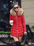 High Quality Winter Down Jacket Women Long Coat Warm Clothes - Courbe et Compagnie