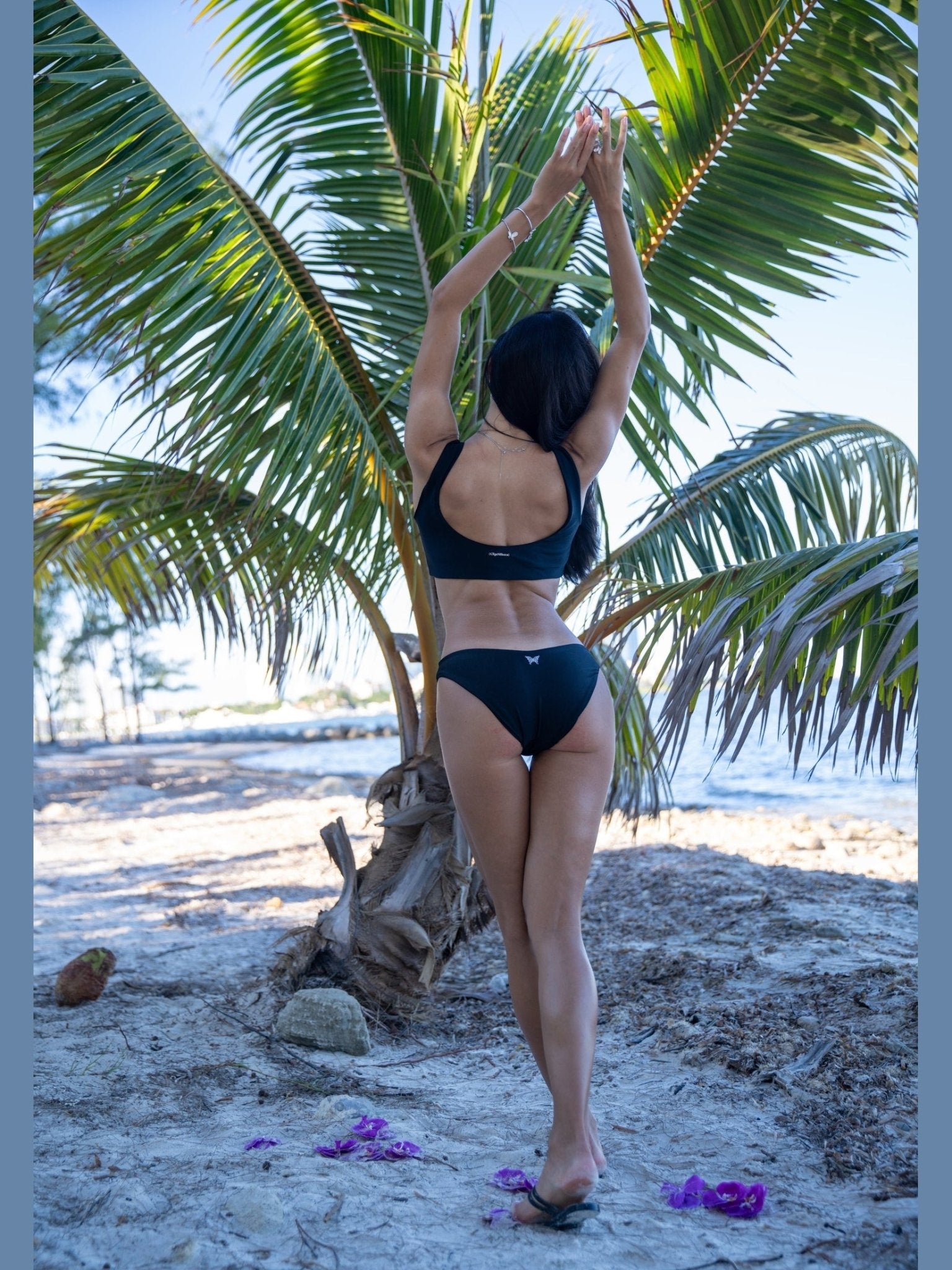 Orchids of Biscayne Bottom - Courbe et Compagnie