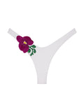 Orchids of Biscayne Bottom - Courbe et Compagnie