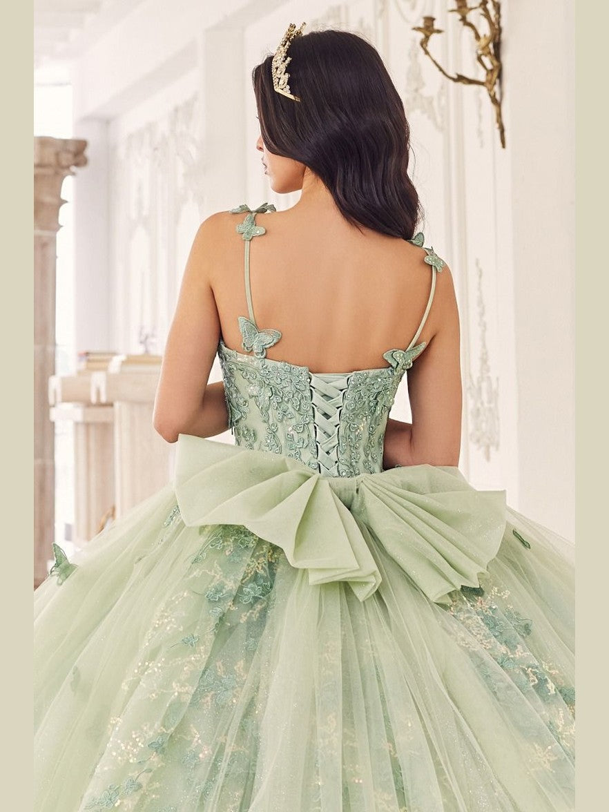 Sage Green | Butterfly Tulle Quinceañera Ball Gown with Beaded Bodice & Sweetheart Neckline CD15718 - Courbe et Compagnie