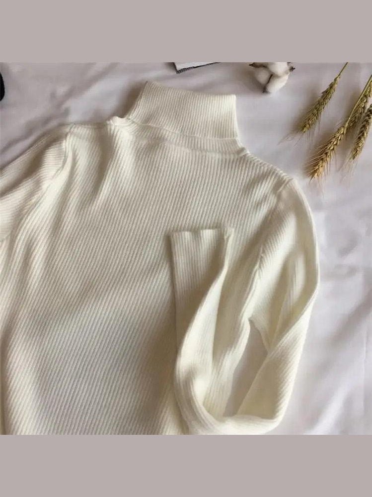 Vintage Style Autumn Winter Thick Sweater For Women Knitted Ribbed Pullover Sweater Long Sleeve Turtleneck Slim Jumper Soft Warm Pullover - Courbe et Compagnie