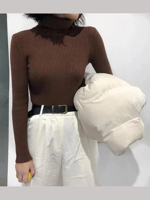 Vintage Style Autumn Winter Thick Sweater For Women Knitted Ribbed Pullover Sweater Long Sleeve Turtleneck Slim Jumper Soft Warm Pullover - Courbe et Compagnie