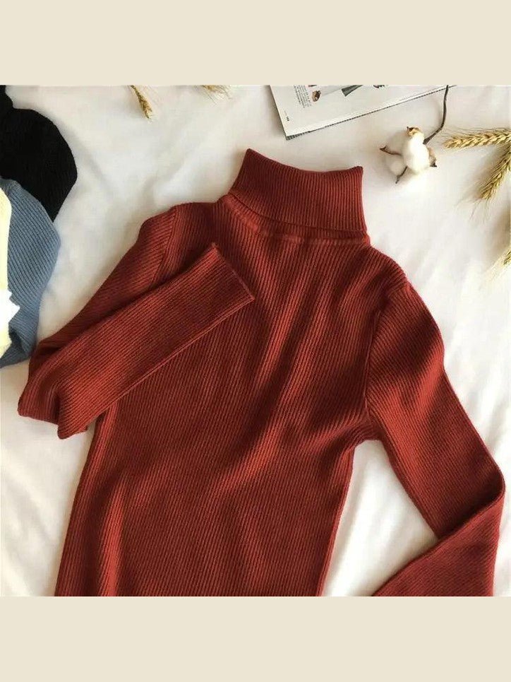 Vintage Style Autumn Winter Thick Sweater For Women Knitted Ribbed Pullover Sweater Long Sleeve Turtleneck Slim Jumper Soft Warm Pullover - Courbe et Compagnie